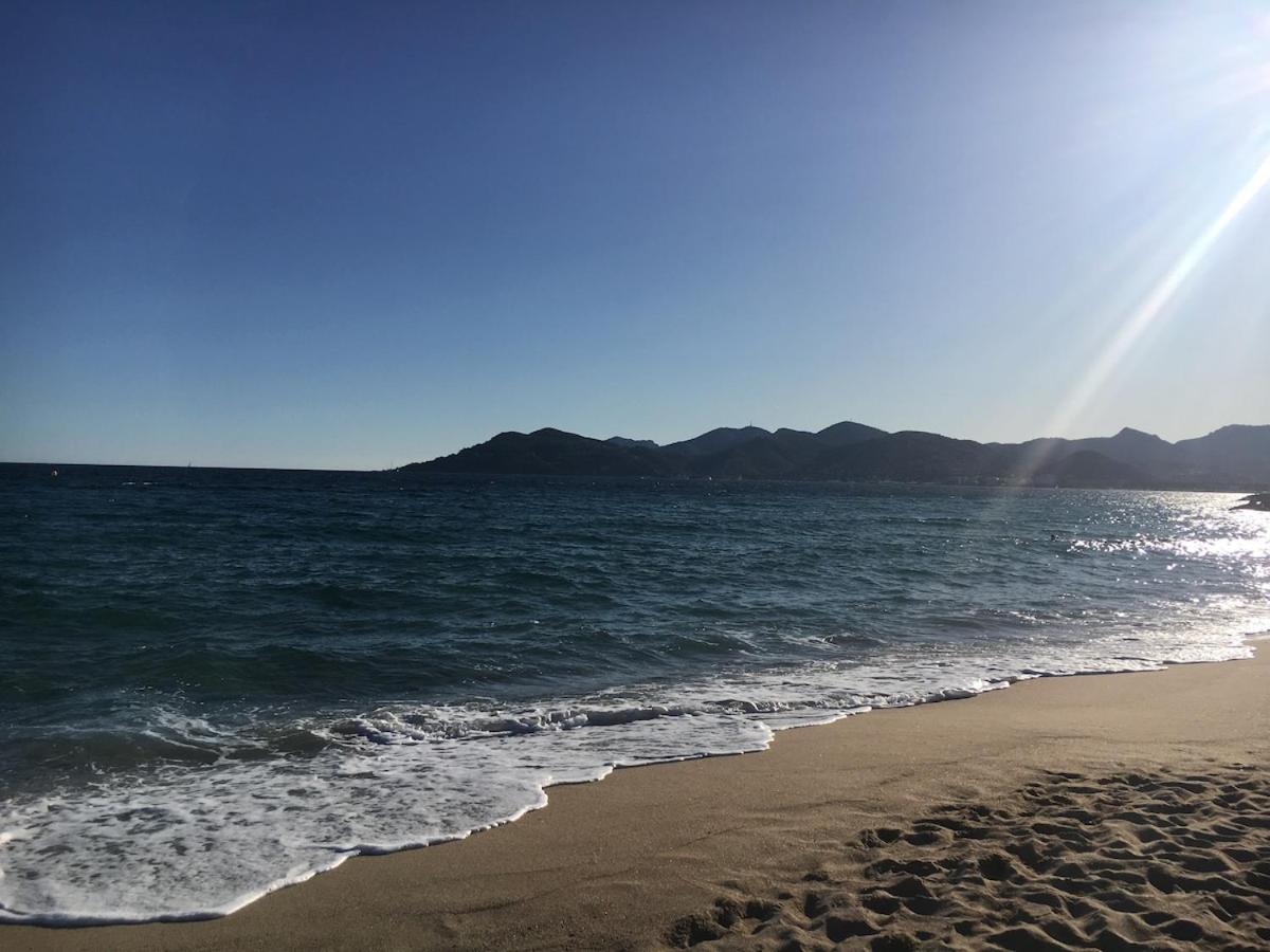A 2 Minutes De La Vue Et Piscine Cannes