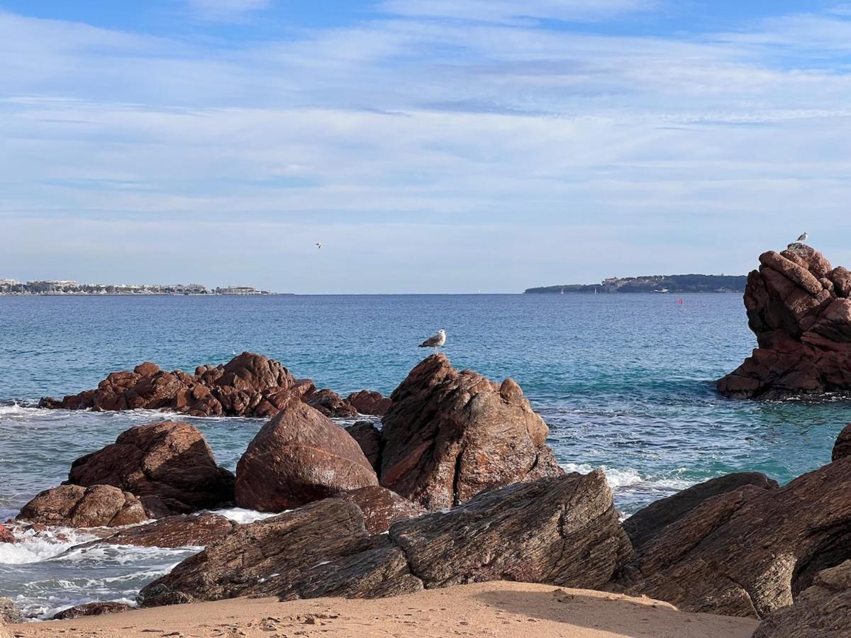 Appartement A 2 Minutes De La Vue Et Piscine Cannes